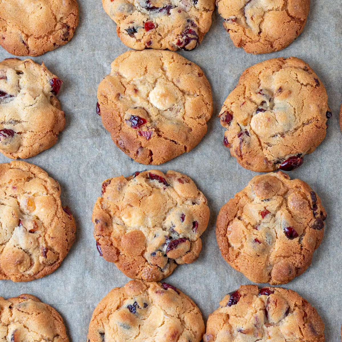 Sweet - Cranberry Biscuit