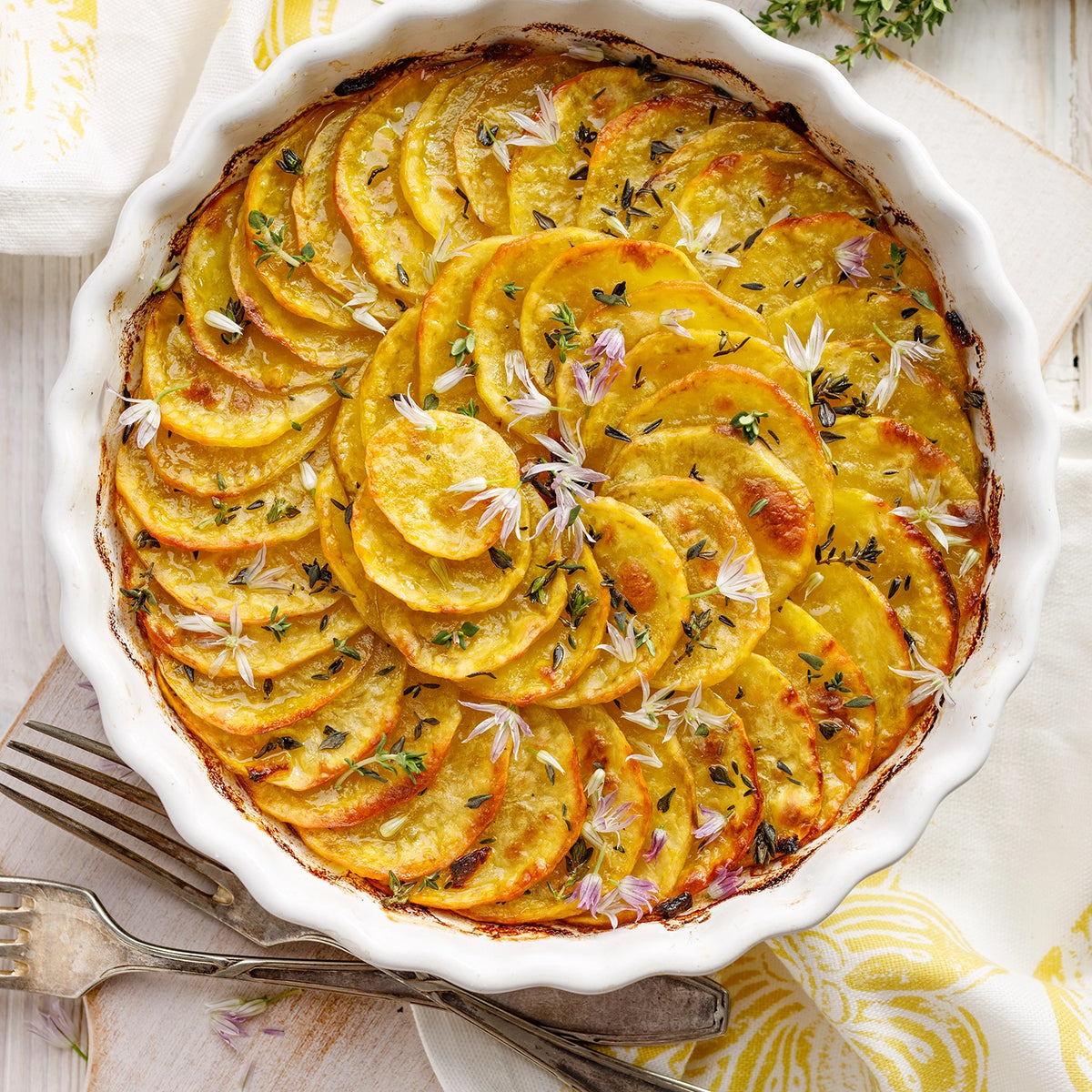 Buffet hot - Süßkartoffelgratin mit gegrilltem Ziegenkäse,Honig und Sesam. 12 Portionen